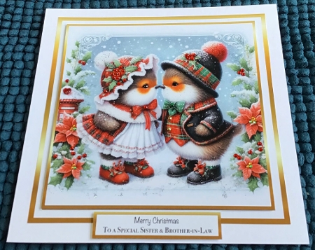 card fronts and tag/topper 18 robin kiss by Sharron Hylton