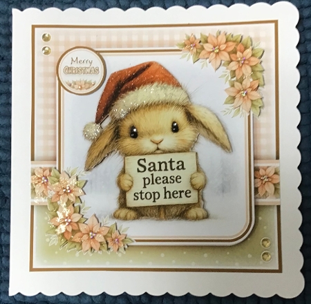 Santa Bunny Mini Kit by Sharron Hylton