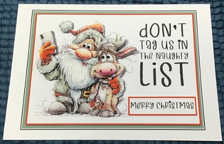 the naughty List  by Sharron Hylton