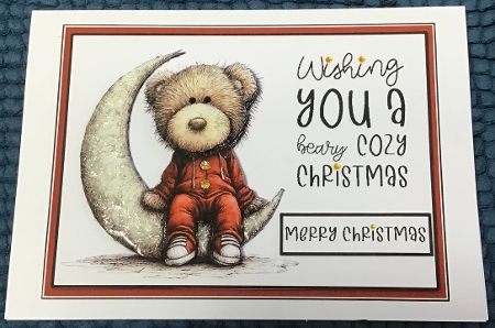 Cozy Christmas  by Sharron Hylton