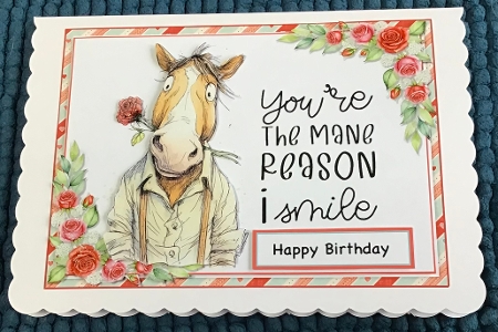 Mane Reason quick card kit  by Sharron Hylton