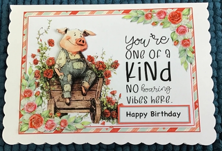 Boaring Vibes  quick card kit  by Sharron Hylton
