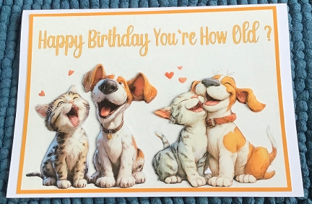 You`re How Old? Birthday A5 Card by Sharron Hylton