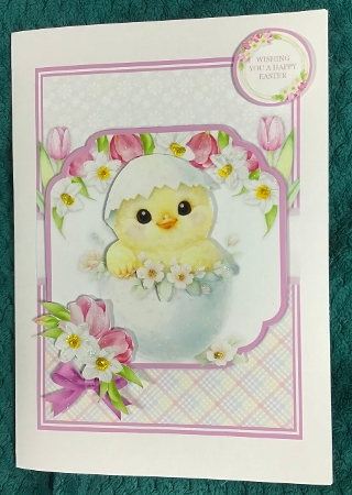 EASTER CHICKS 5X7 6X6 by Sharron Hylton