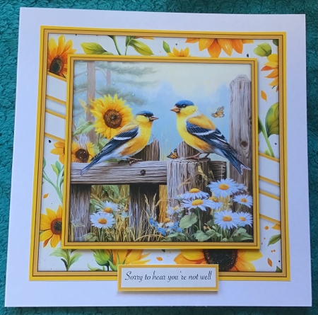 Beautiful Sunflower Birds - Mini Kit 6x6 by Sharron Hylton