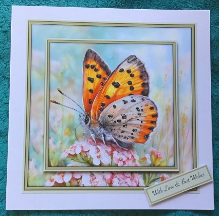 Flower Butterfly 1 - Mini Kit 6x6 by Sharron Hylton