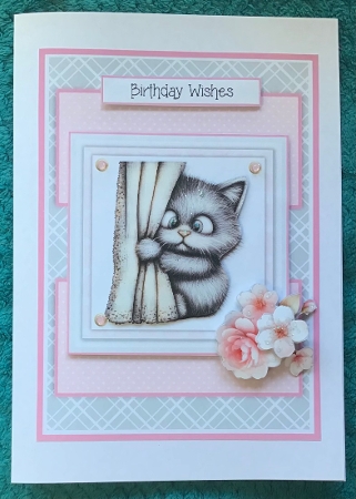 Cute Grey Kittens - 6x6 and 5x7 Version by Sharron Hylton