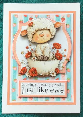 Something Like Ewe  Featured Gallery Photo