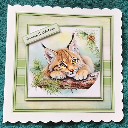 Lynx Cup - Mini Kit 6x6 by Sharron Hylton