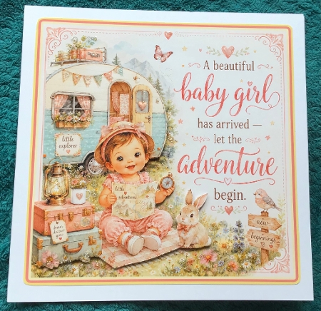 Baby Girl Adventure by Sharron Hylton