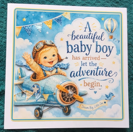 Baby Boy Adventure by Sharron Hylton