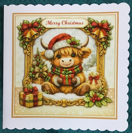 highland coo at christmas by Sharron Hylton