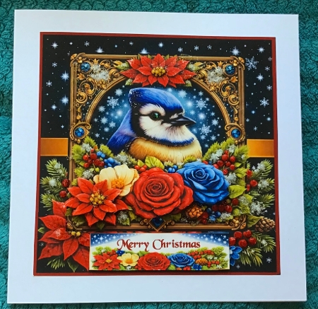snow stars and feathered friends by Sharron Hylton