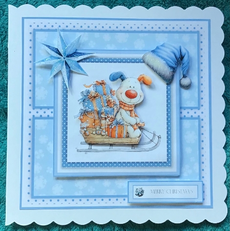 Woofly Wishes this Christmas Featured Gallery Photo