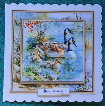 Duck Family - Mini Kit 6x6 by Sharron Hylton