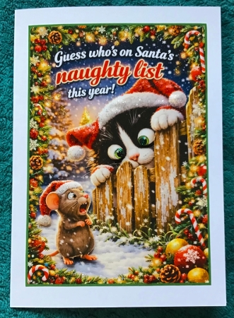 naughty list by Sharron Hylton