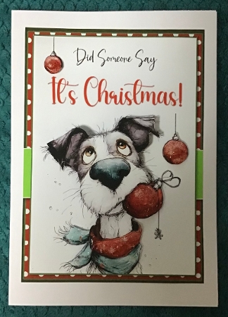 5x7 ~ Did Someone Say Its Christmas 4 by Sharron Hylton