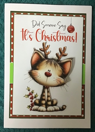 5x7 ~ Did Someone Say Its Christmas 5 by Sharron Hylton