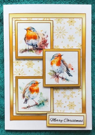 Three squares Robins by Sharron Hylton