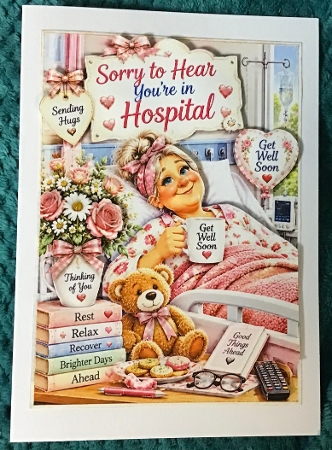 sorry to hear youre in hospital female by Sharron Hylton