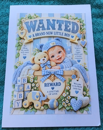 ** Wanted ** Baby Boy by Sharron Hylton