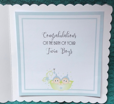Twin Boys Insert by Sharron Hylton