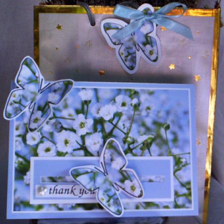 Gysophila Penny Slider Sh0073 by Sharyn Cafe