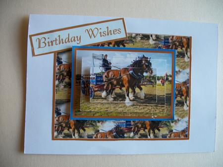 Shire Horses by Sheila Horne