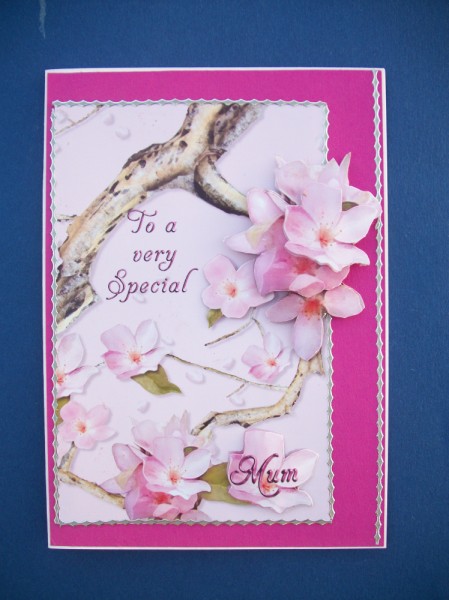 Spring Blossom by Sheila Horne