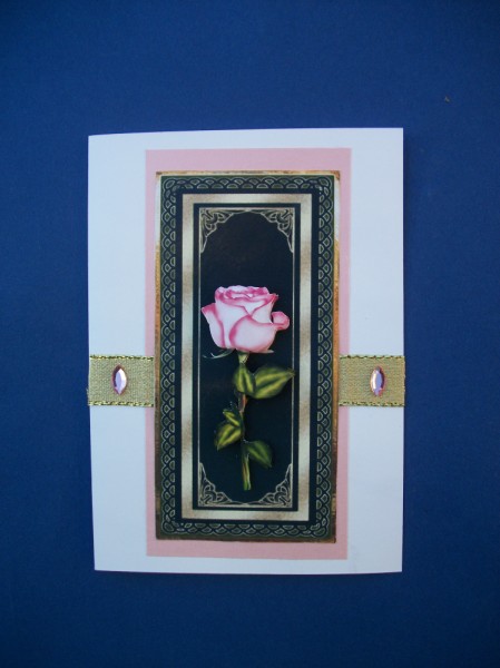 A Single Rose by Sheila Horne