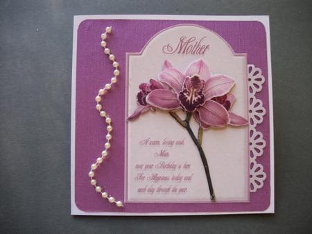 Pink Orchid Birthday by Sheila Horne