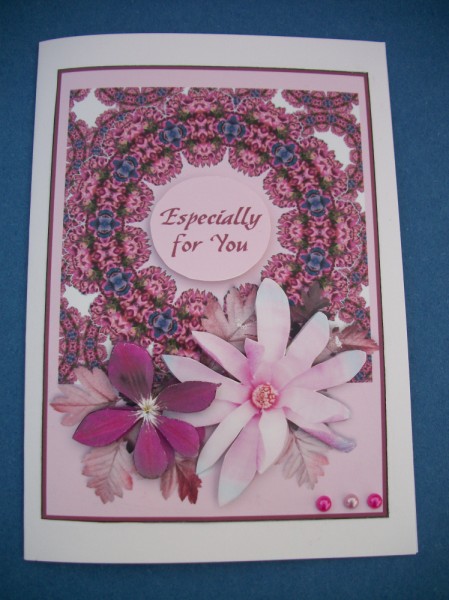 Pink Paisley & Flowers by Sheila Horne