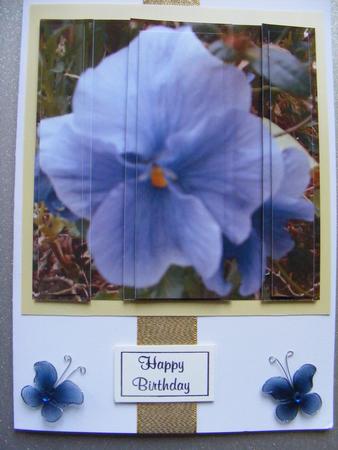 Pansy 3D Panel Sheet by sheila ketterer