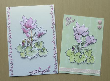 Cyclamen Digital Stamps and Watercoloured Stamps by Sheila Lewis