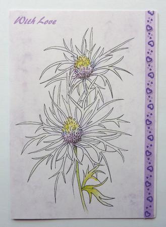 Digital Stamp Erygium with Coloured Version Too by Sheila Lewis