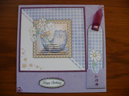 Cute Cat Quick Card with Pyramage by Sheila Lewis