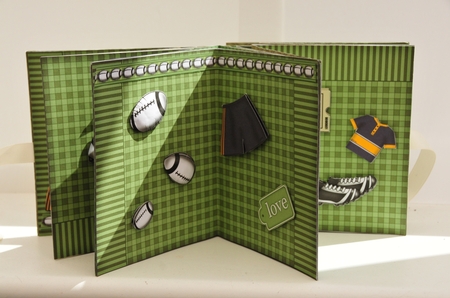 3D Rugby Carousel Card Kit by Sheila Pickering