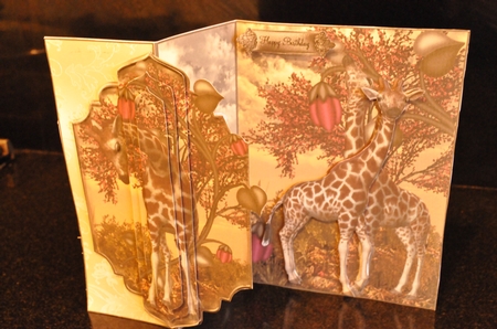 No Holes Fold the Friendship by Sheila Pickering