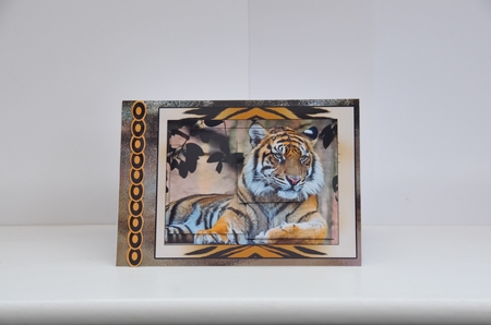 Intertwined Pyramid New Technique Tigers by Sheila Pickering