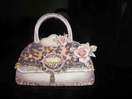 Fashion Lady Bag by Sheila Pickering