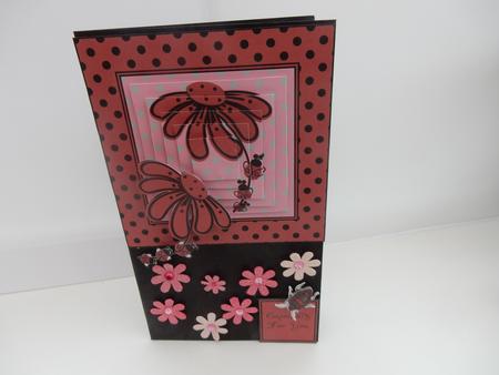 Funky Ladybirds with Flower, Step by Step & Pyramid by Sheila Pickering