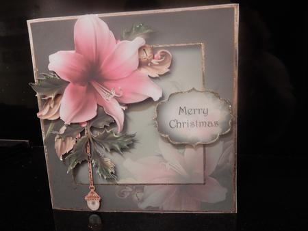 Festive Amaryllis Mini Kit by Sheila Pickering