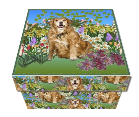 7x7 Labrador in Garden by Craft Box