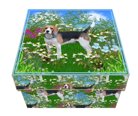 GIFT BOX - BEAGLE IN DAISIES by Craft Box