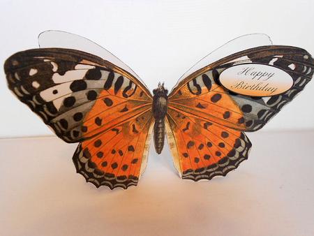 Butterfly Stand Up Card 1 by Craft Box