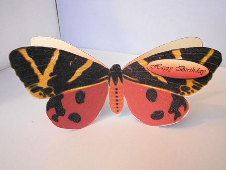 Butterfly Stand Up Card 5 by Craft Box