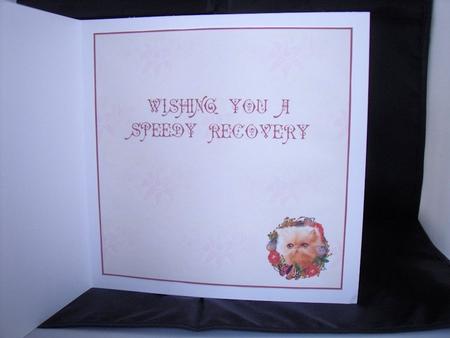 Cream Kitten Wreath Insert - Get Well Soon by Craft Box