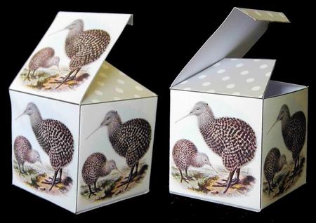 All in One Gift Box - Kiwis by Craft Box