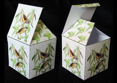 All in One Gift Box - Connecticut Warblers by Craft Box