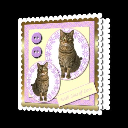 Mix'n'match - Tabby Cat by Craft Box